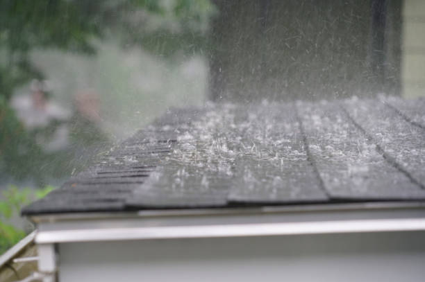 Best Roof Coating and Sealing  in Colorado City, TX
