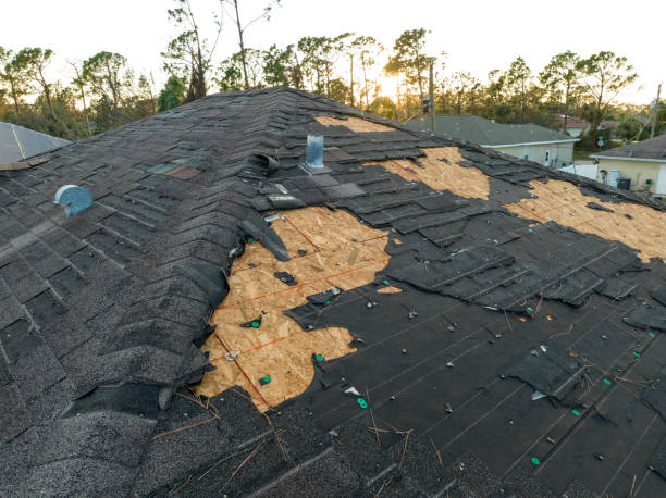 Best Solar Panel Roofing Installation  in Colorado City, TX