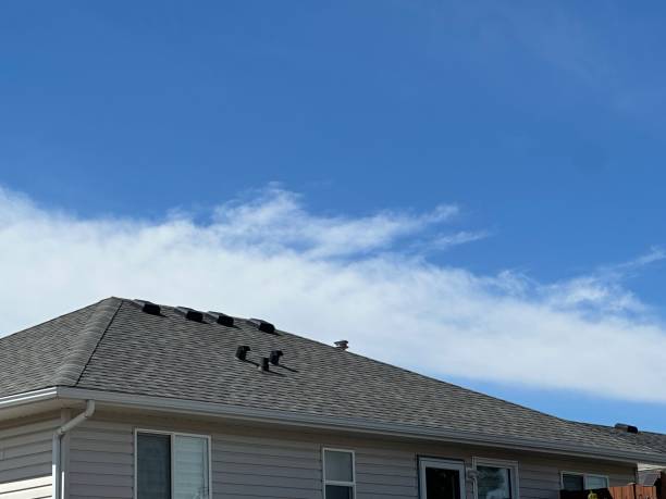 Best Flat Roofing  in Colorado City, TX